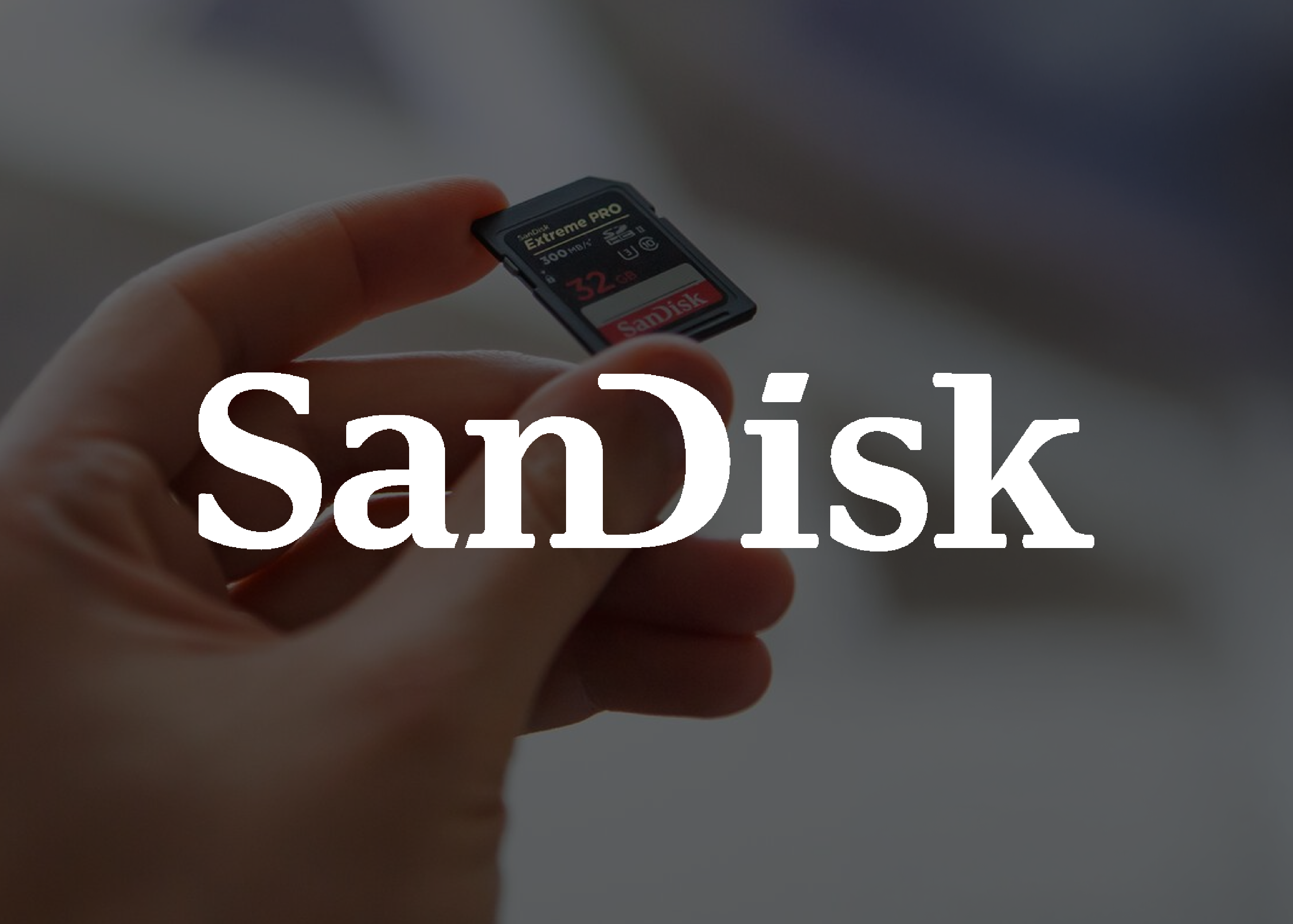 Sandisk logo
