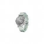 Garmin Lily 2 Classic Silver with Sage Gray Nylon