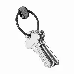 Orbitkey Ring v2 - Black